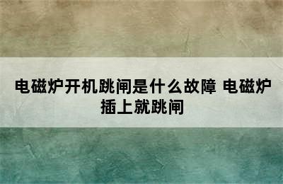 电磁炉开机跳闸是什么故障 电磁炉插上就跳闸